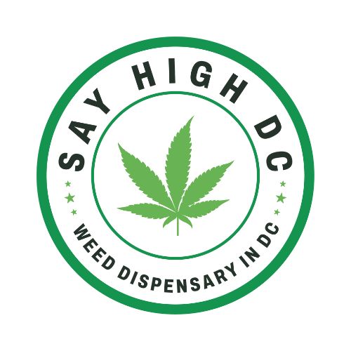 Say-High-DC