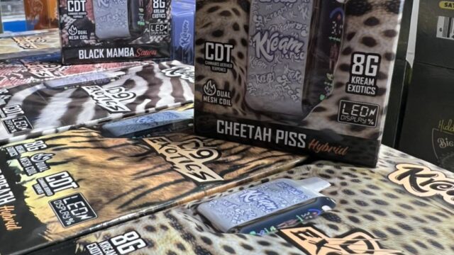 494196195_1225954892874139_2515590307907543136_n