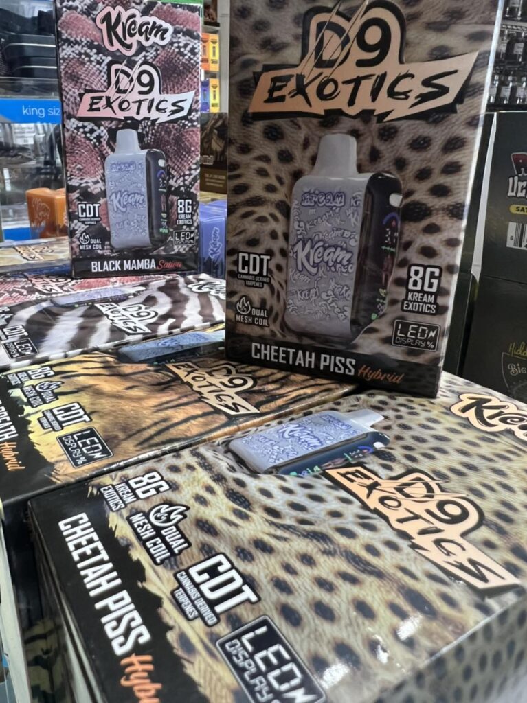 494196195_1225954892874139_2515590307907543136_n