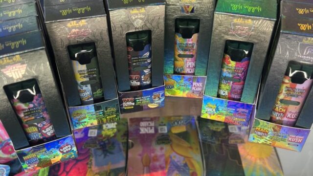 494313864_1225954619540833_5439498045775031598_n