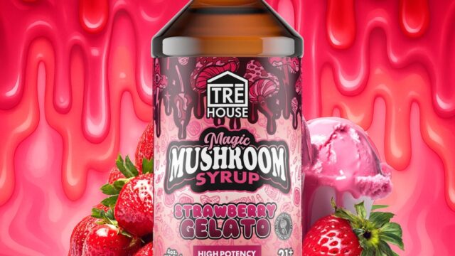 606017641_122139549986968208_6743784303139564874_n