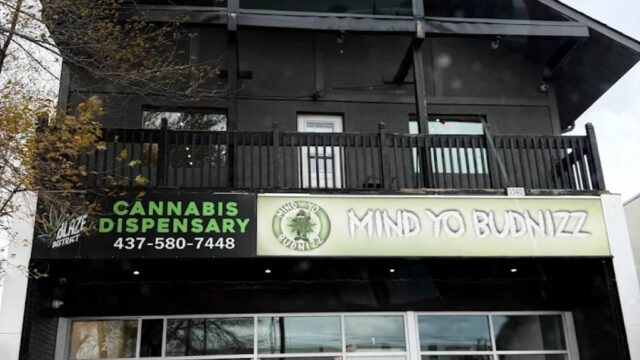 blaze-district-queensway-3-1