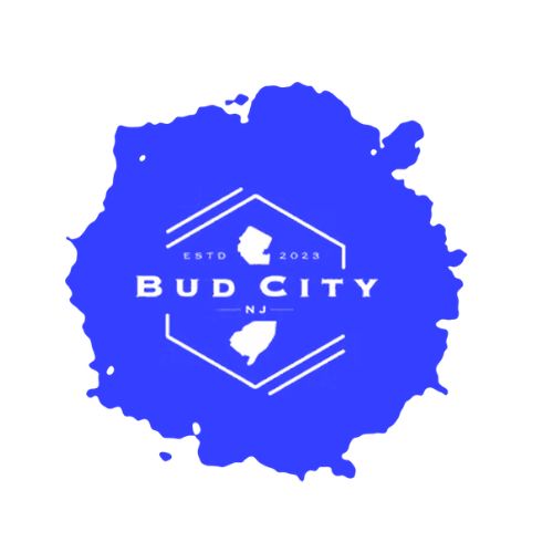 Bud-City-NJ-1