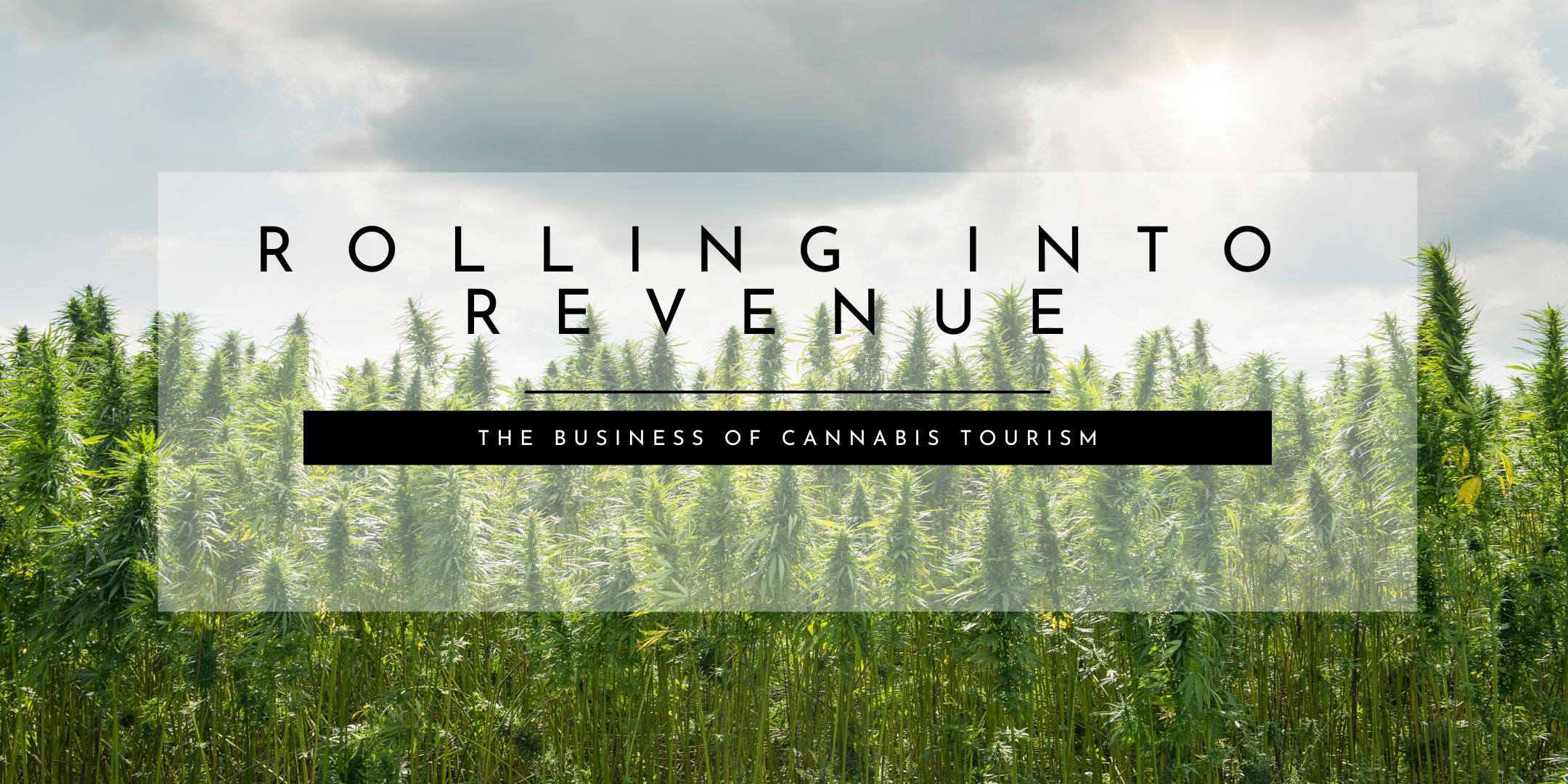 Rolling Into Revenue: December Sesh