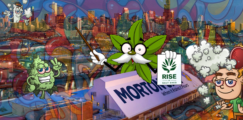HighQ at Rise Salt Shed