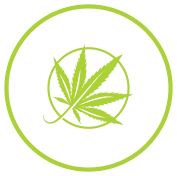 Lucky Leaf Expo - Minneapolis